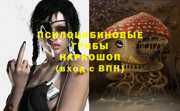 ешки Ельня