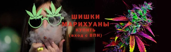 ешки Ельня