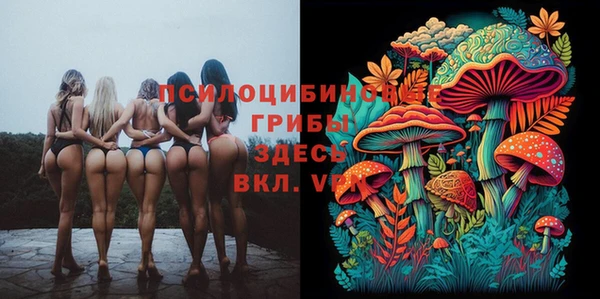 ешки Ельня