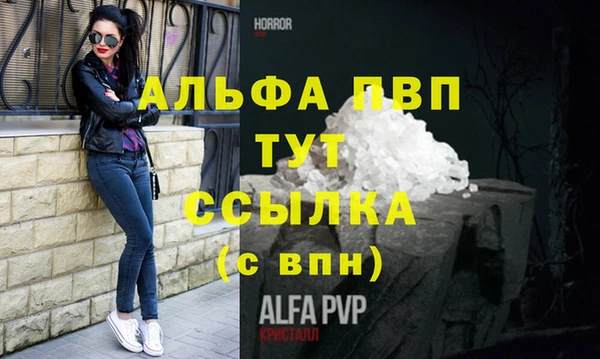 ешки Ельня