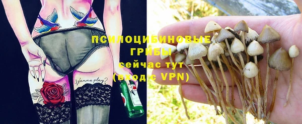 ешки Ельня