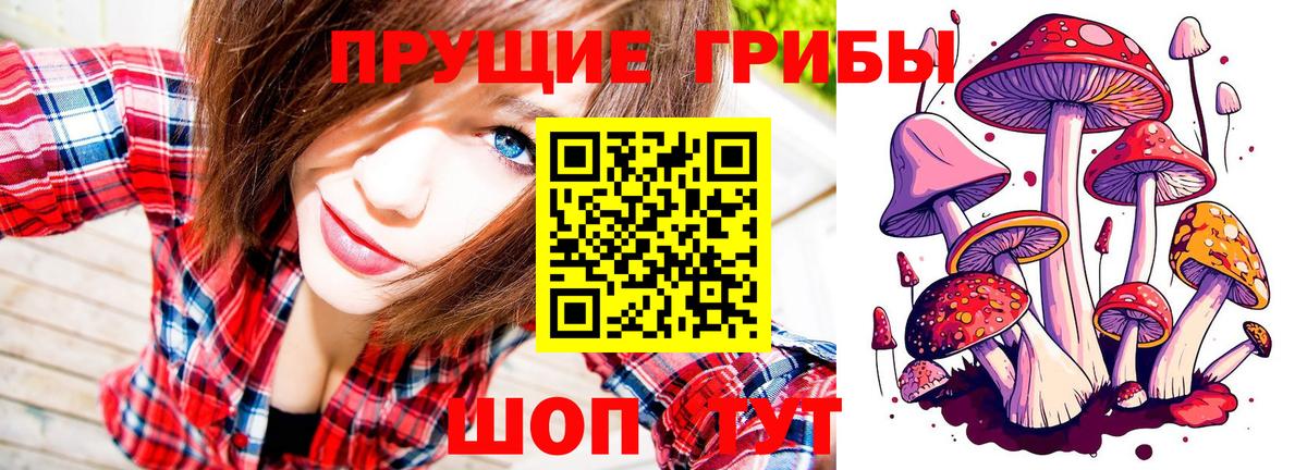 Псилоцибиновые грибы GOLDEN TEACHER Пушкино