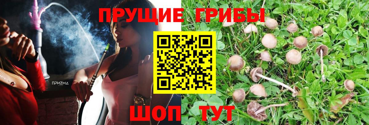 Пушкино  Галлюциногенные грибы мухоморы  Вход с VPN 